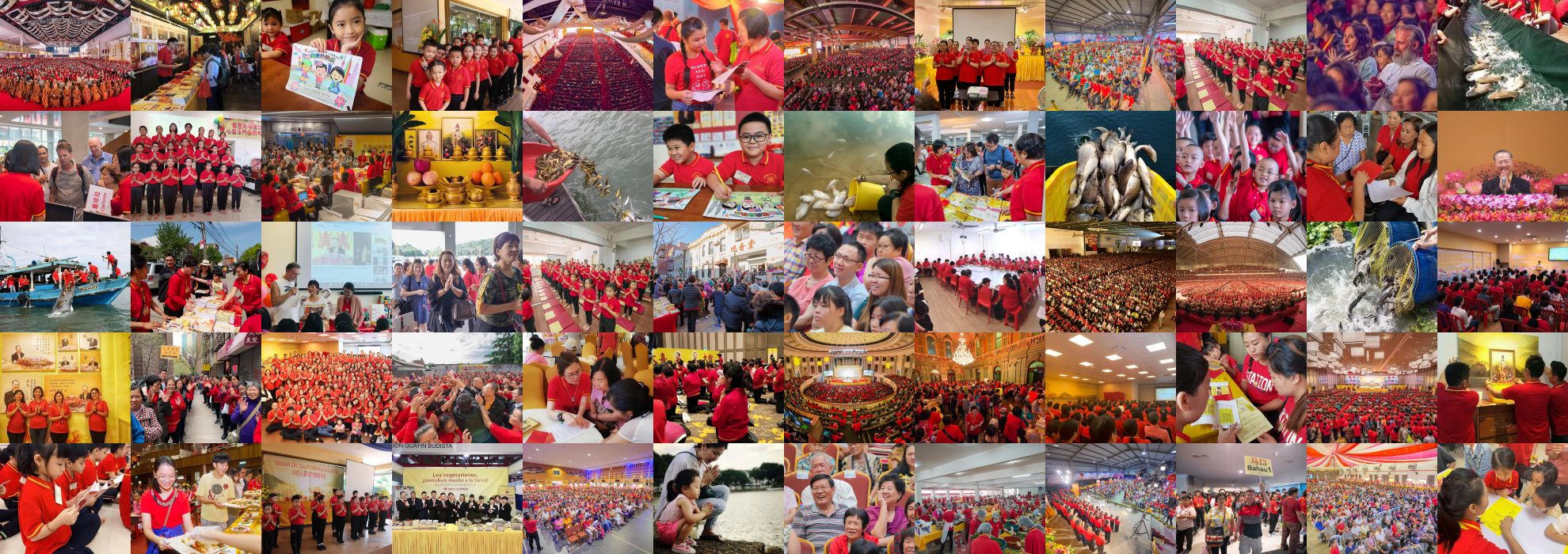 Guan Yin Citta